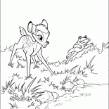 Bambi y el sapo