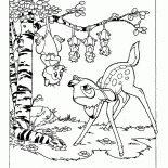 Las zarigüeyas y Bambi