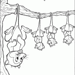 Las zarigüeyas en espera