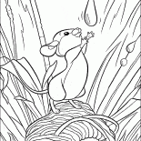 Bosque Ratón