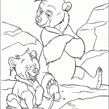 Koda y Kenai