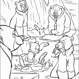 Ancianos del oso