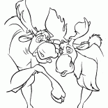 Mooses se divierten
