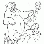 Ataques del oso