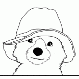 Paddington Bear