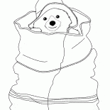 Oso se esconde