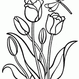 Tulipanes