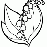lirio de los valles