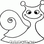 Caracol en la caminata