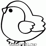 Titmouse pájaro