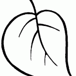 Hoja del árbol