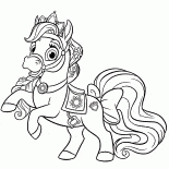 Pony Estrella