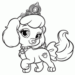 Cachorro calabaza
