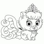 Gatito del deslizador