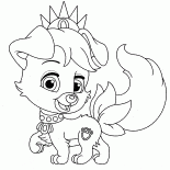 Cachorro de amigos