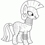 Zekora - Estilista