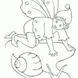 Caracol de hadas