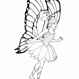 Mariposa-Fairy sorprendió