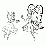 Mariposa y Catania