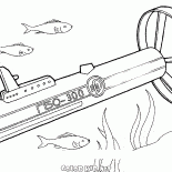 Mar y océano sonar