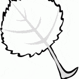 Hoja de Aspen