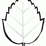 Hoja de árbol
