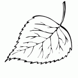 Caídas de hojas de abedul