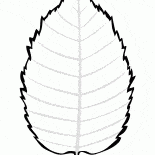 Hojas de abedul