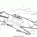 Combatiente de la I-30
