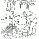 Servicio de limpieza de las hojas caídas