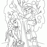 La recolección de la primavera