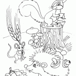 Animales hacen existencias