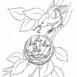 Los polluelos en el nido