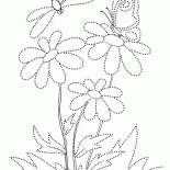 Mariposa en una flor