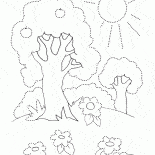 Árboles en el verano