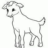 Cabra Tiny