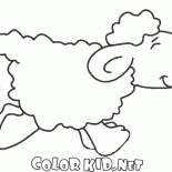 Ovejas en movimiento