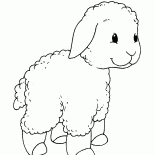 Pequeño cordero en una caminata