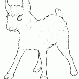 Little Lamb divertirse
