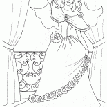Claro Veil