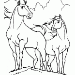 Espíritu de caballos