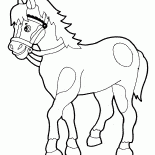 Paseos a caballo
