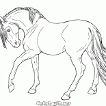 El caballo va lento