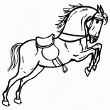 Caballo en el circo