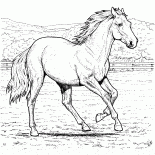 Caballo en una granja