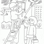 Birdhouse en un árbol