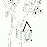 Nidal