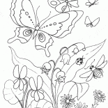 Lirios florecen