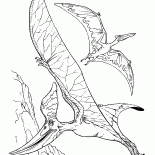 Pteranodon y un pterodáctilo