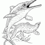 Ictiosaurio y plesiosaurio